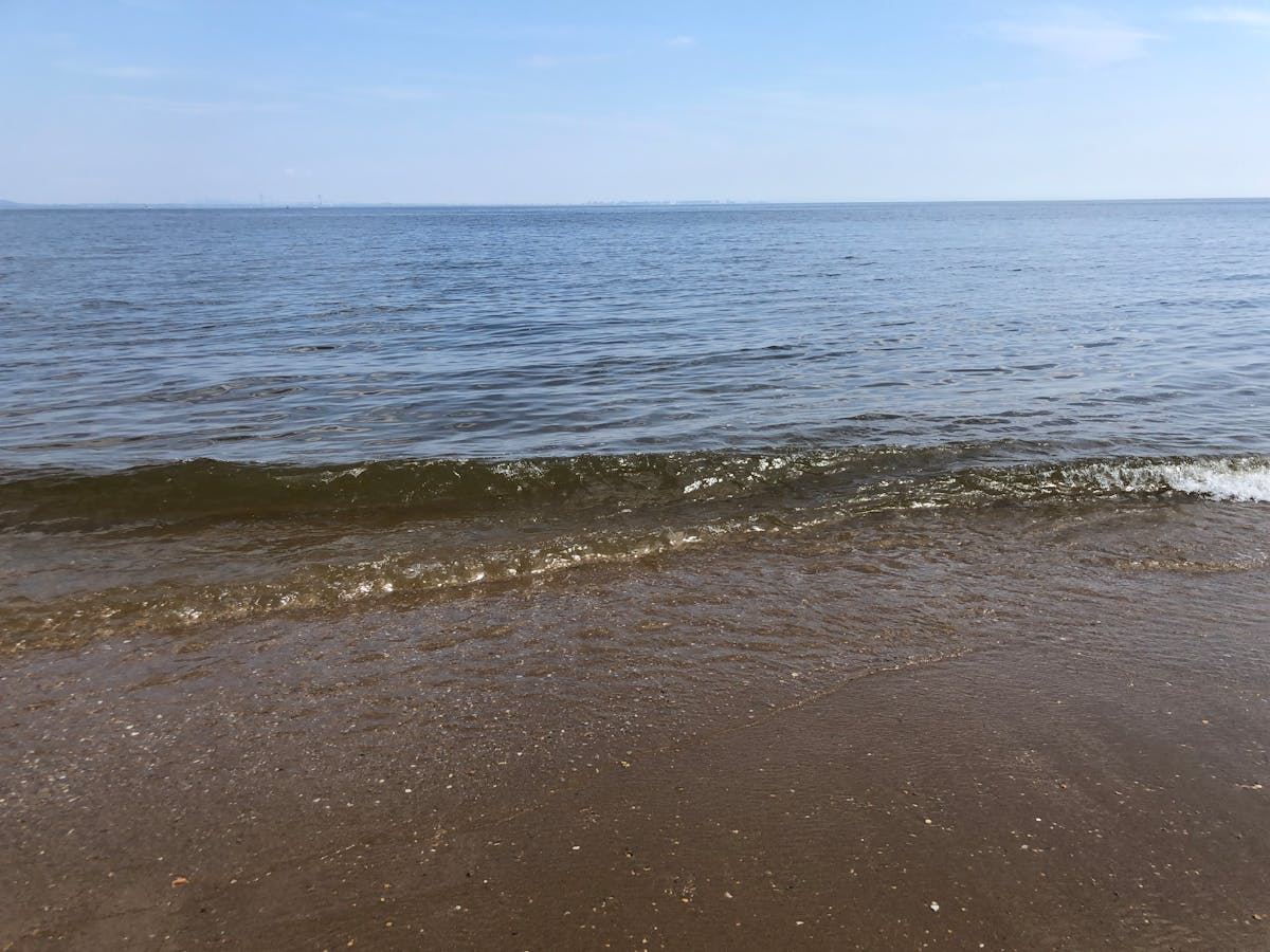 ¿En Japón te examinan más rápido que a tu médico mexicano?...