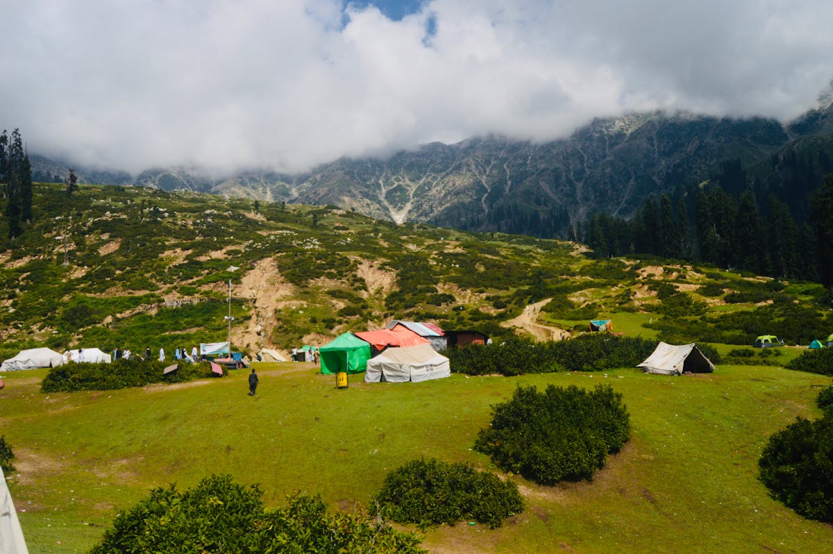 ¿Tu Intestino Está Distrayendo Tus Recuerdos?
