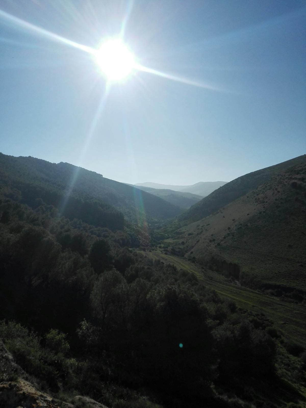 ¿Alguien Te Paga por Usar Blockchain o Es Solo Un Humo? 🚩