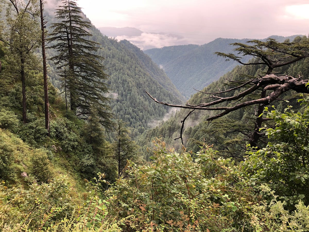 ¿La Vacunación Antigripal de 2026 es el Último Disparo o e...