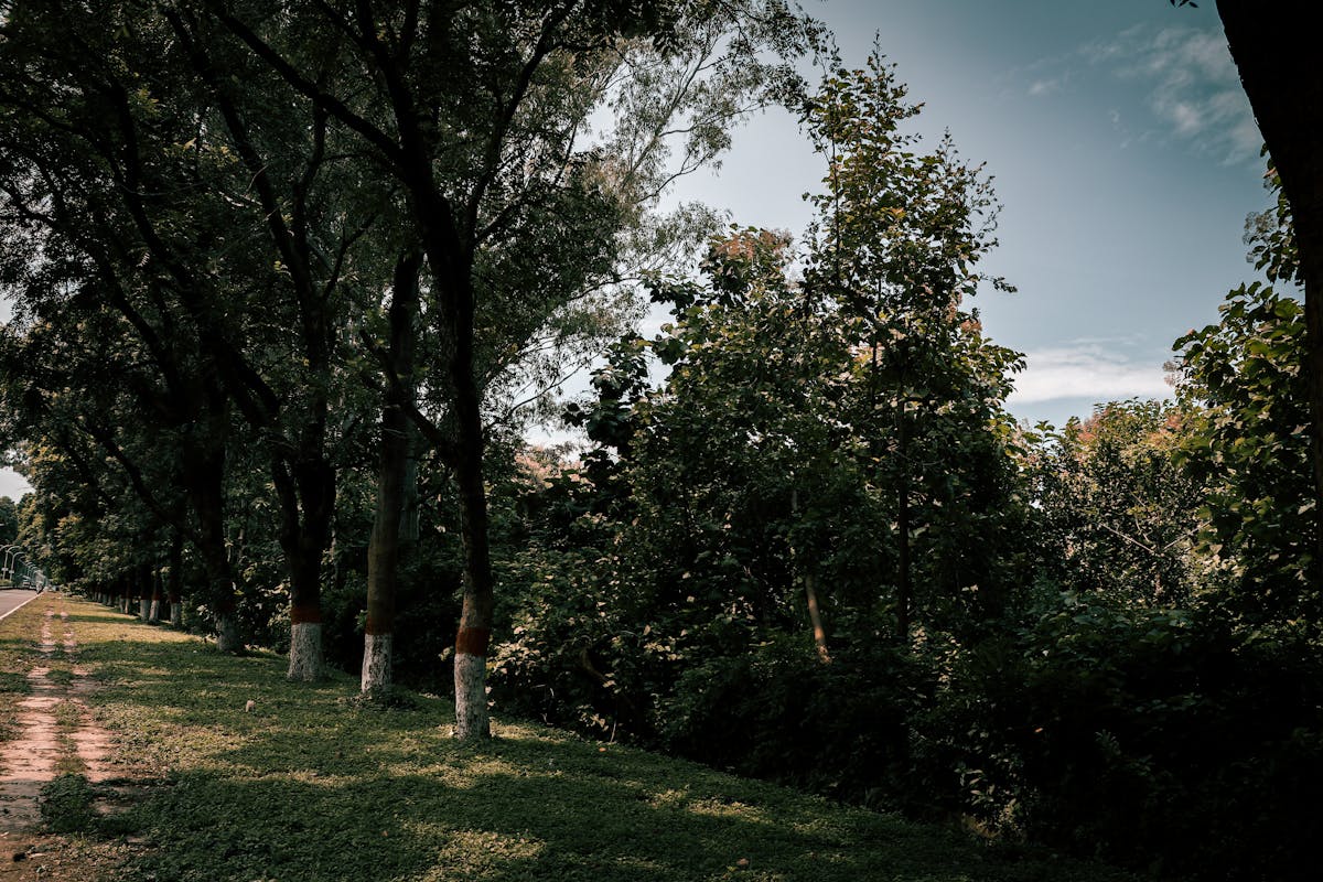 ¿Te Pones a Defenderte si Fidalgo Va al Mundial? 🚩 (Falta...