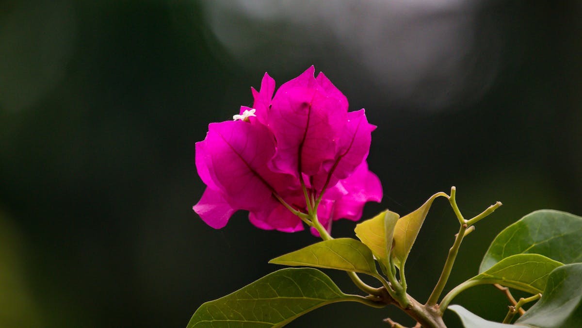 ¿Alguien le dijo a tu startup que Blockchain es un Esquema...