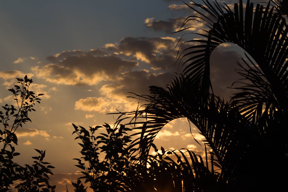 ¿Chávez Se Metió en el Órden de la Día? 🚩