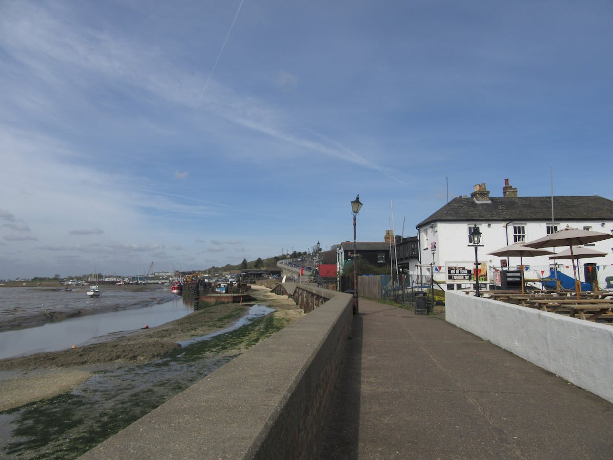 ¿Lollapalooza Argentina 2026 estará más segura que tu cuen...