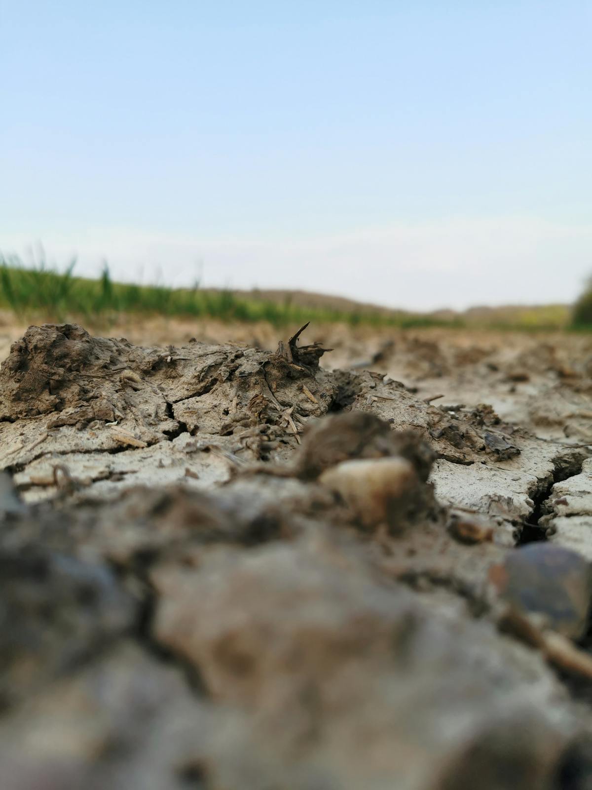 ¿Cuánto dinero gasta tu empresa en consultores que solo te...
