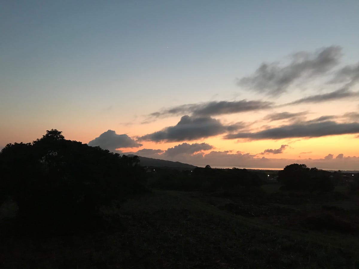 ¿Tomás B es solo Vaporware o un Cambio de Juego?