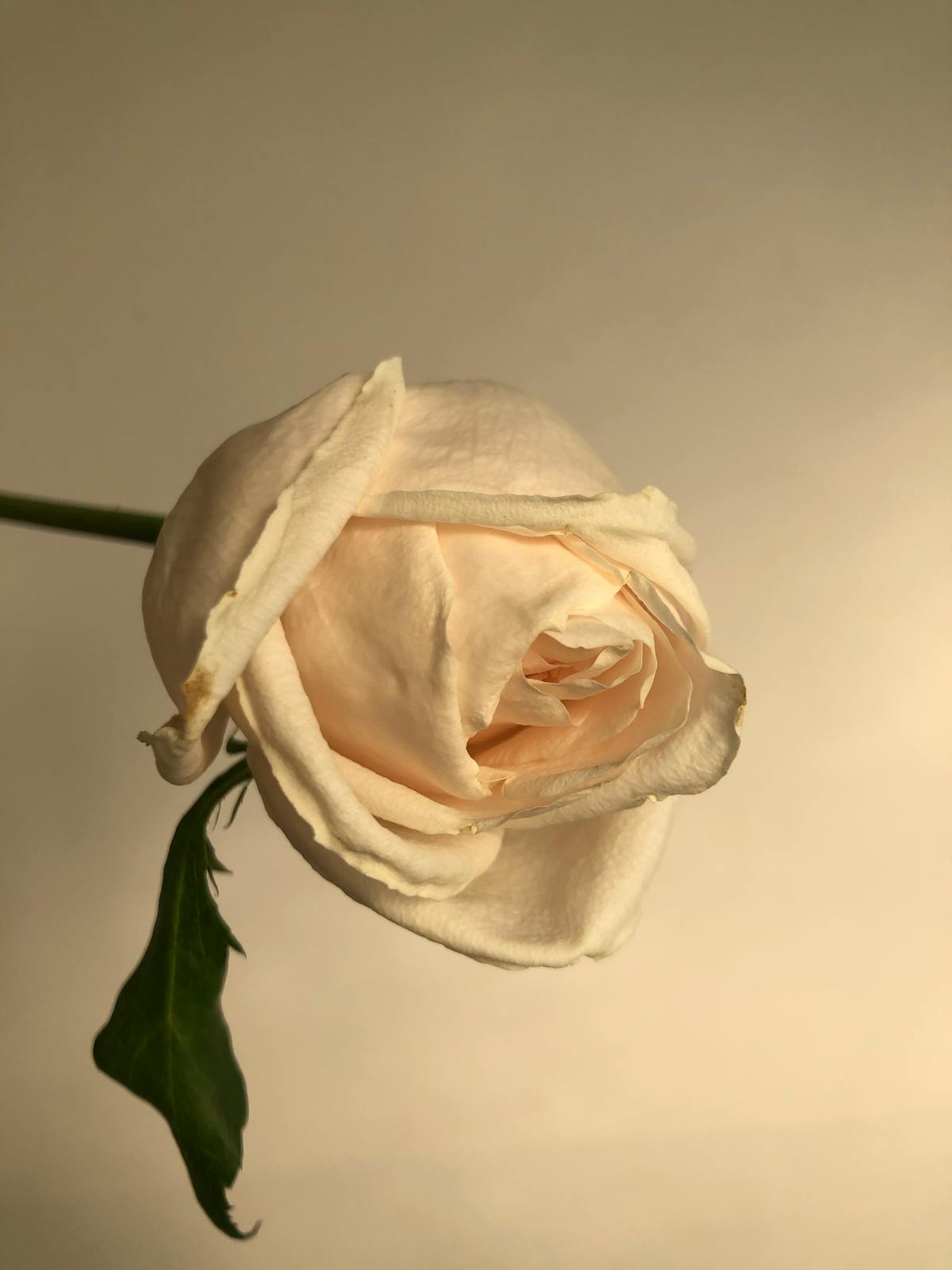 Paulinho va por el golpe de gracia a México 🚩 ¿Se tiene que de...