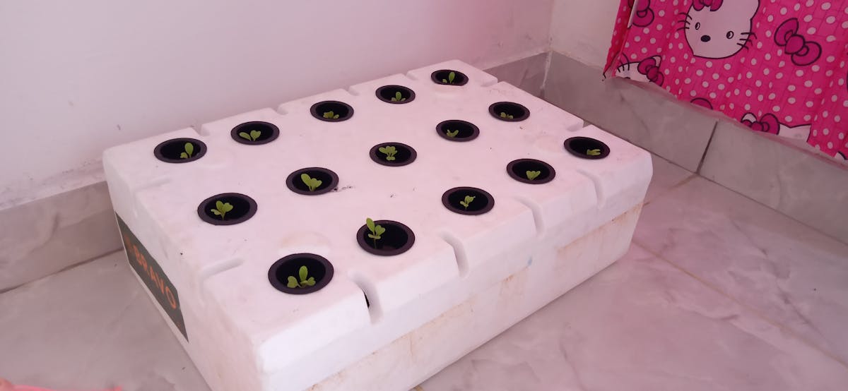 San Miguel de Allende se Vuelve el New York de los Ricos 🤑...