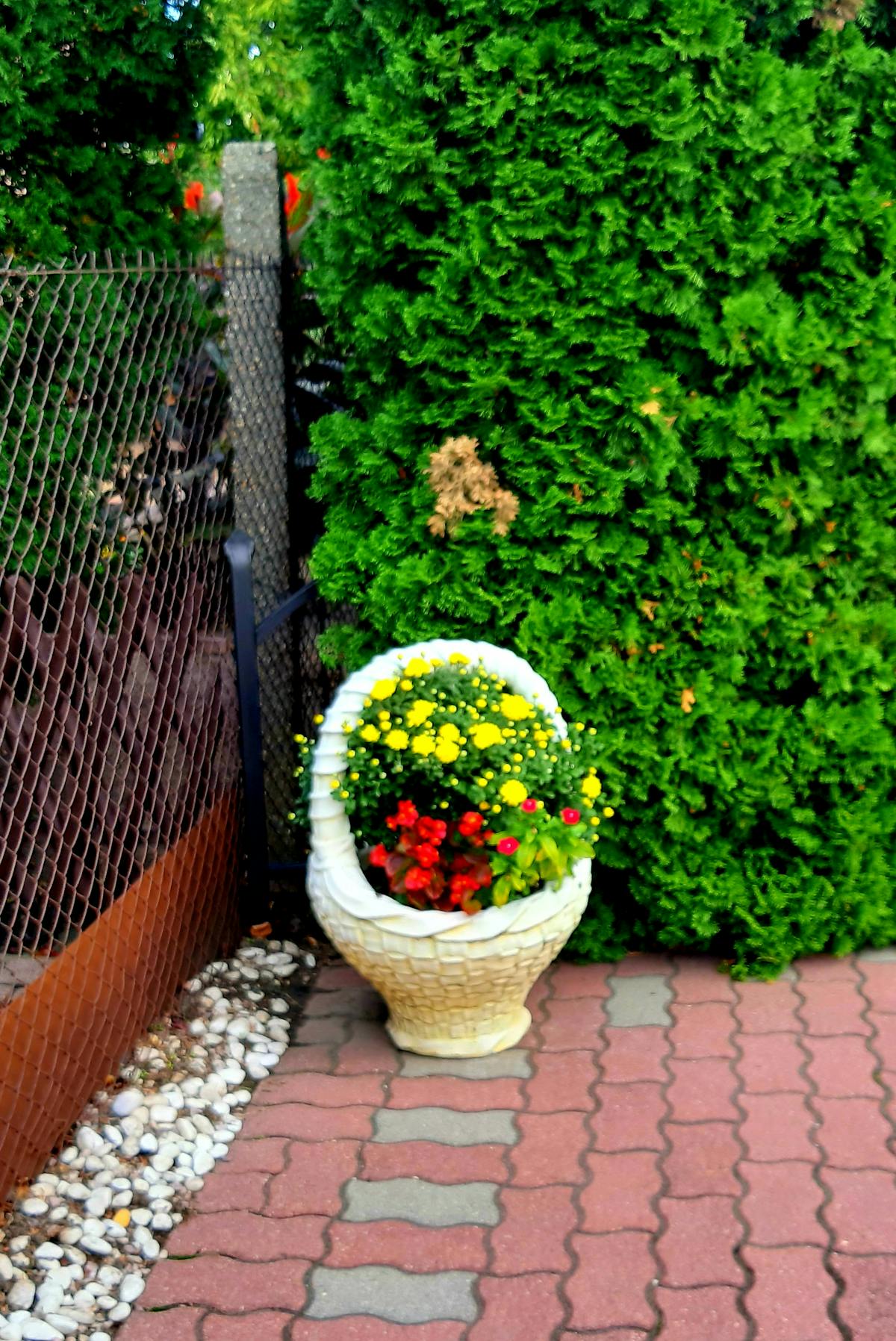 🚨 ¿La Fuerza Aérea Mexicana tiene Satelites Espías o Solo ...