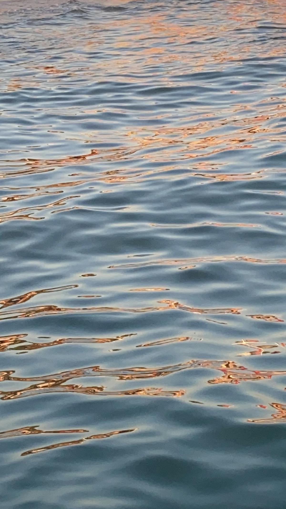 ¿Tu App de Streaming Es Tan Segura Como Tu Ex?