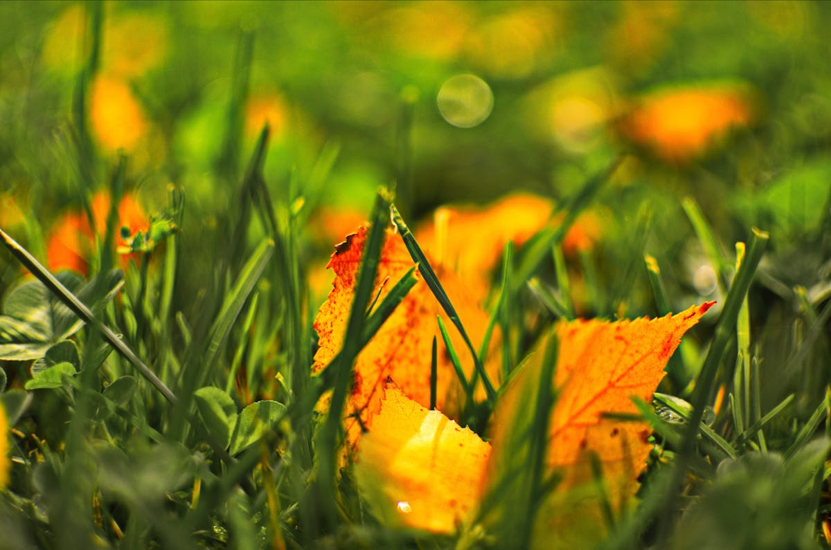 ¿La Nube de Tus Fotos es un Secreto o un Desastre?