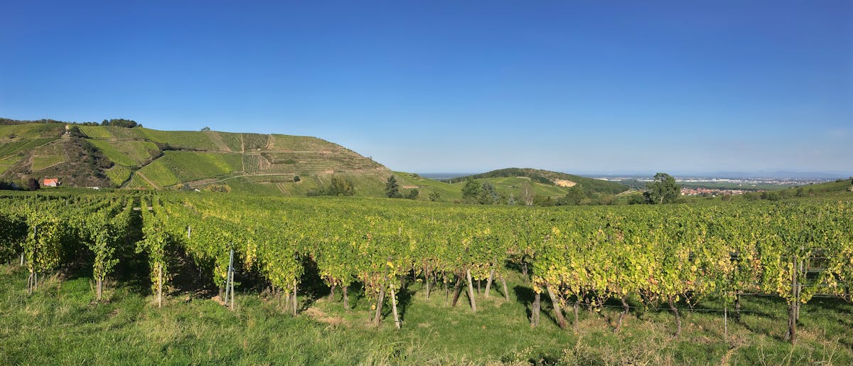 ¿Tu Startup Tiene Ciberseguridad o Solo Es Un Chiste? 🚩