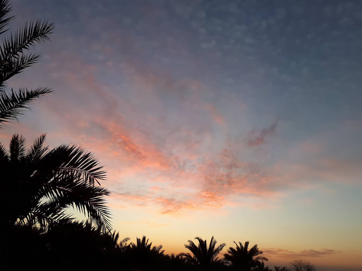 ¿Se tenían que decir y se dijo? ¡México no tiene nada comp...