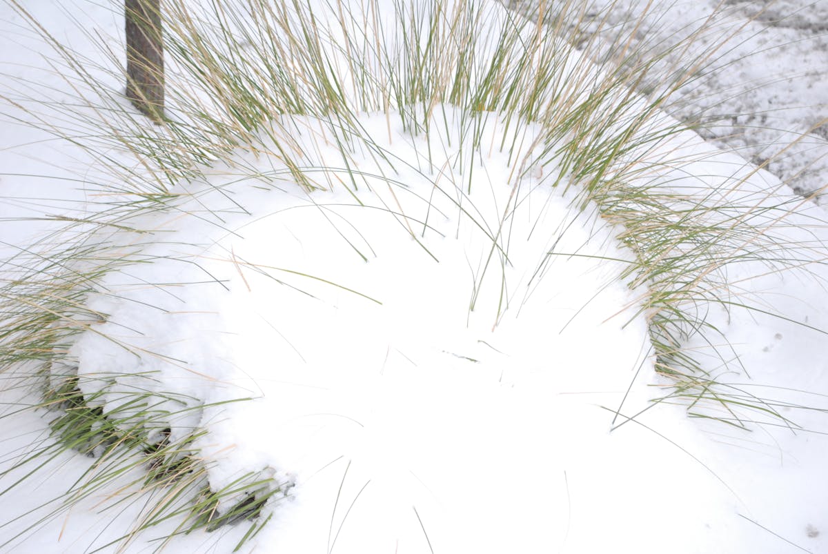 ¿Fútbol... o Ciberfútbol? 🚩 ¡No se qué es peor!