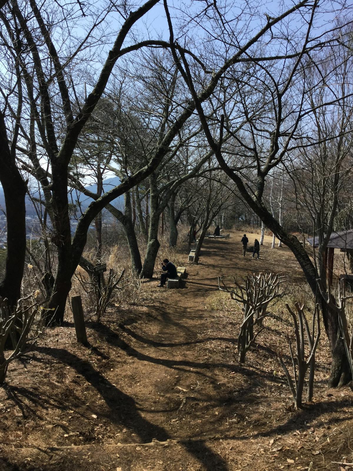 ¿Puerto Rico se Saca de la Zona de Peligro o Solo Se Finge...