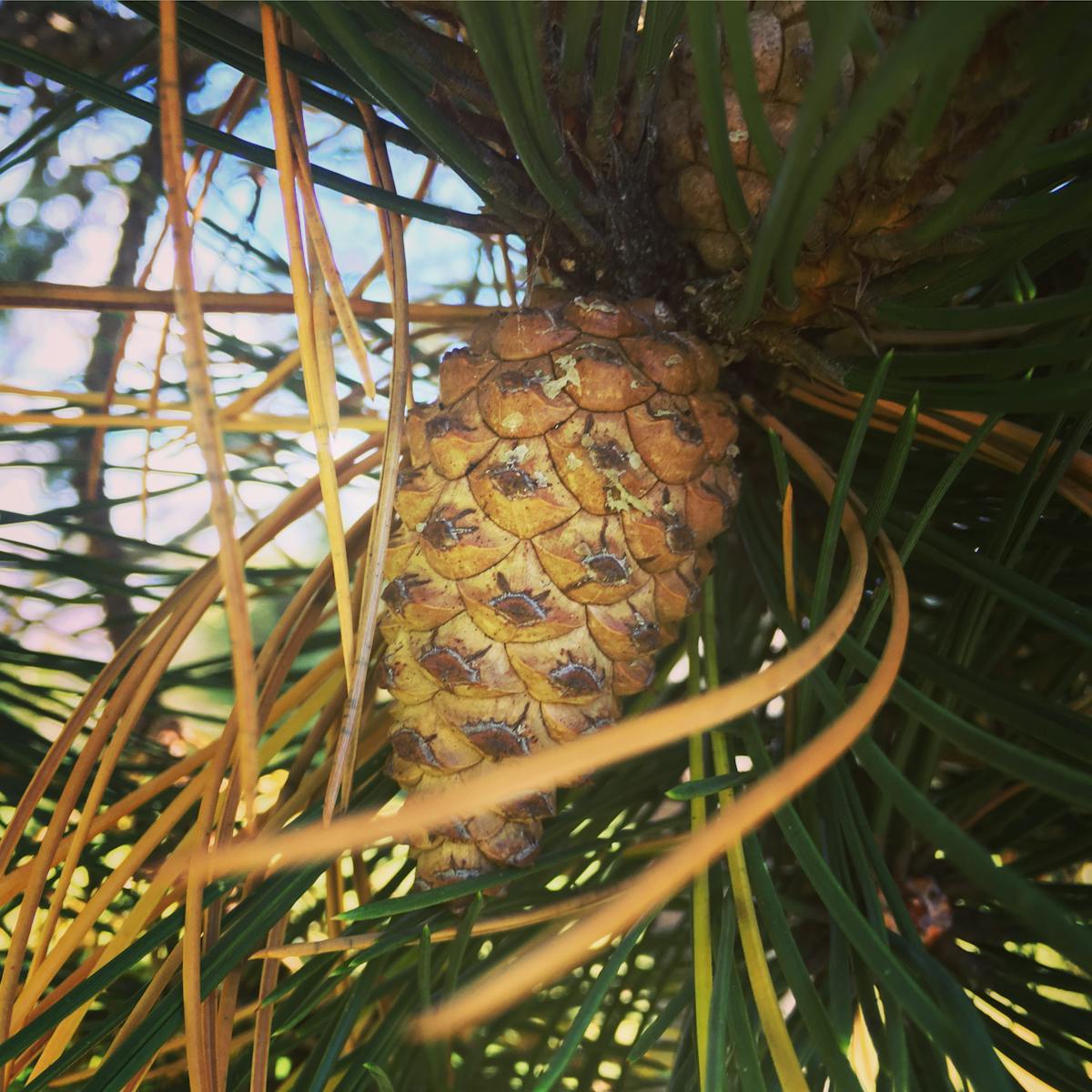 🚩 ¿La Jornada Laboral se Reduce o Solo Se Rediseña el Hora...
