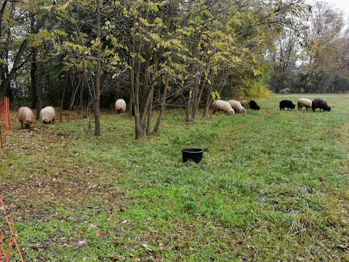Primark Cierra Tiendas, ¿Ojo Aquí? 🚩