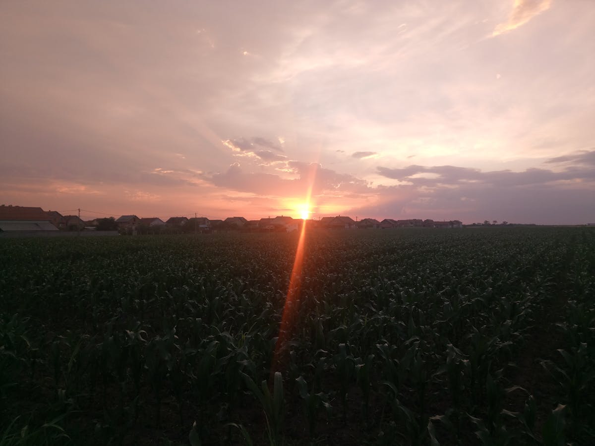 ¿Naciste para cuidar el pozo o solo para tirarlo? 🚽