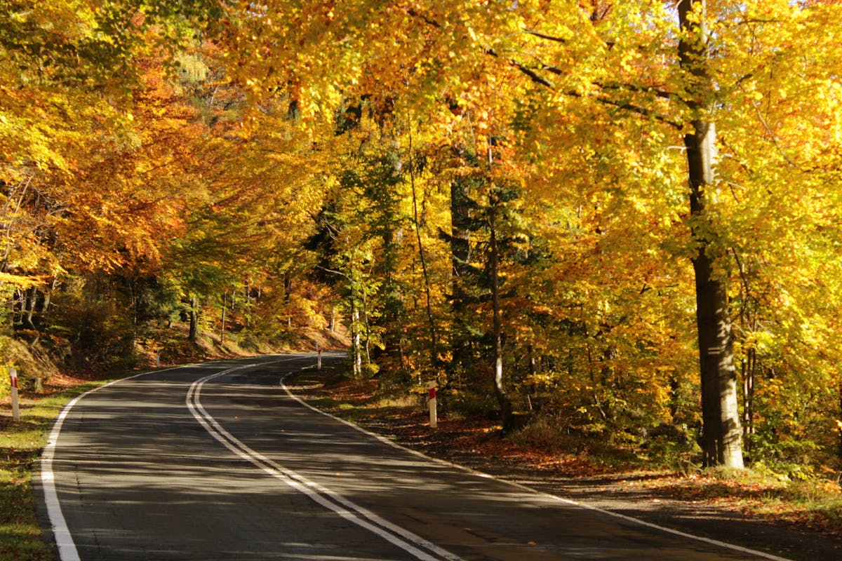 ¿Te Pueden Robar la Mente? El Estado Mental que no Es Na...
