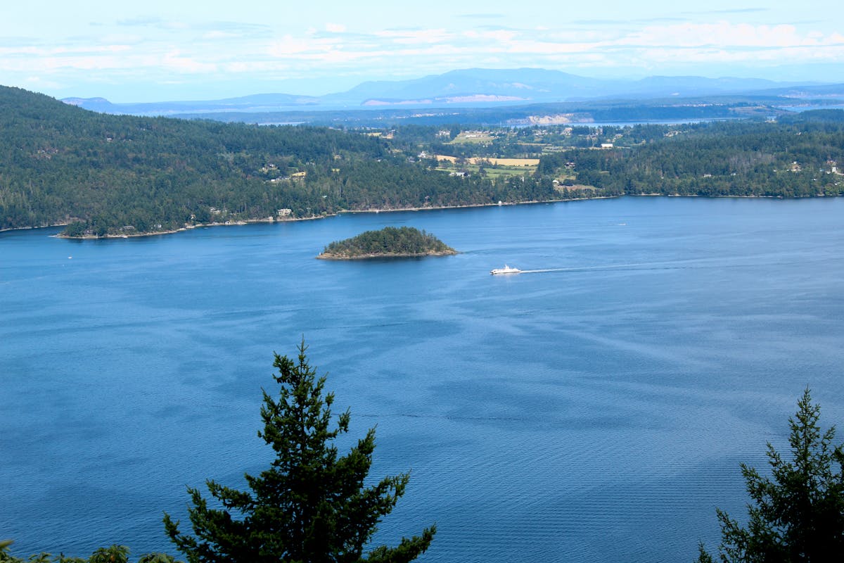 ¿Se Cuida de la Inteligencia Artificial o Solo se Hace La ...