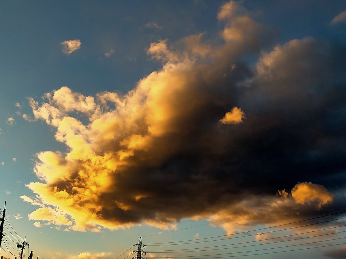 ¡Son Muy Nuevos Perfiles, ¡Che! ¿Rosario Robles se...