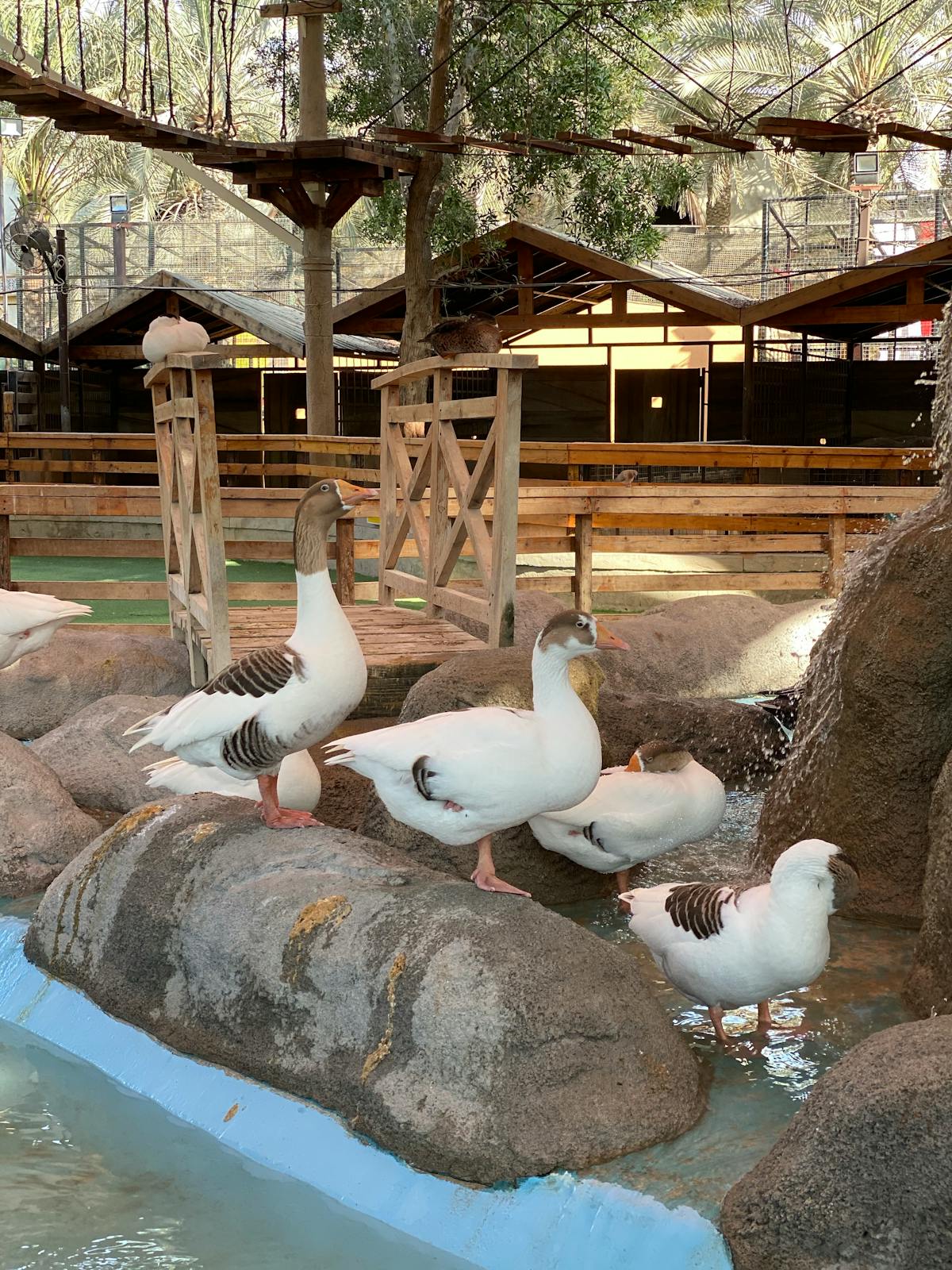 ¿Tu App Tiene Privacidad o Solo Te Saca Dinero? 🚩