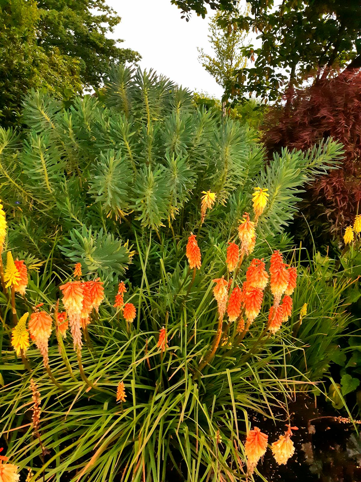 ¿Timothée Chalamet se está volviendo el nuevo actor de dra...