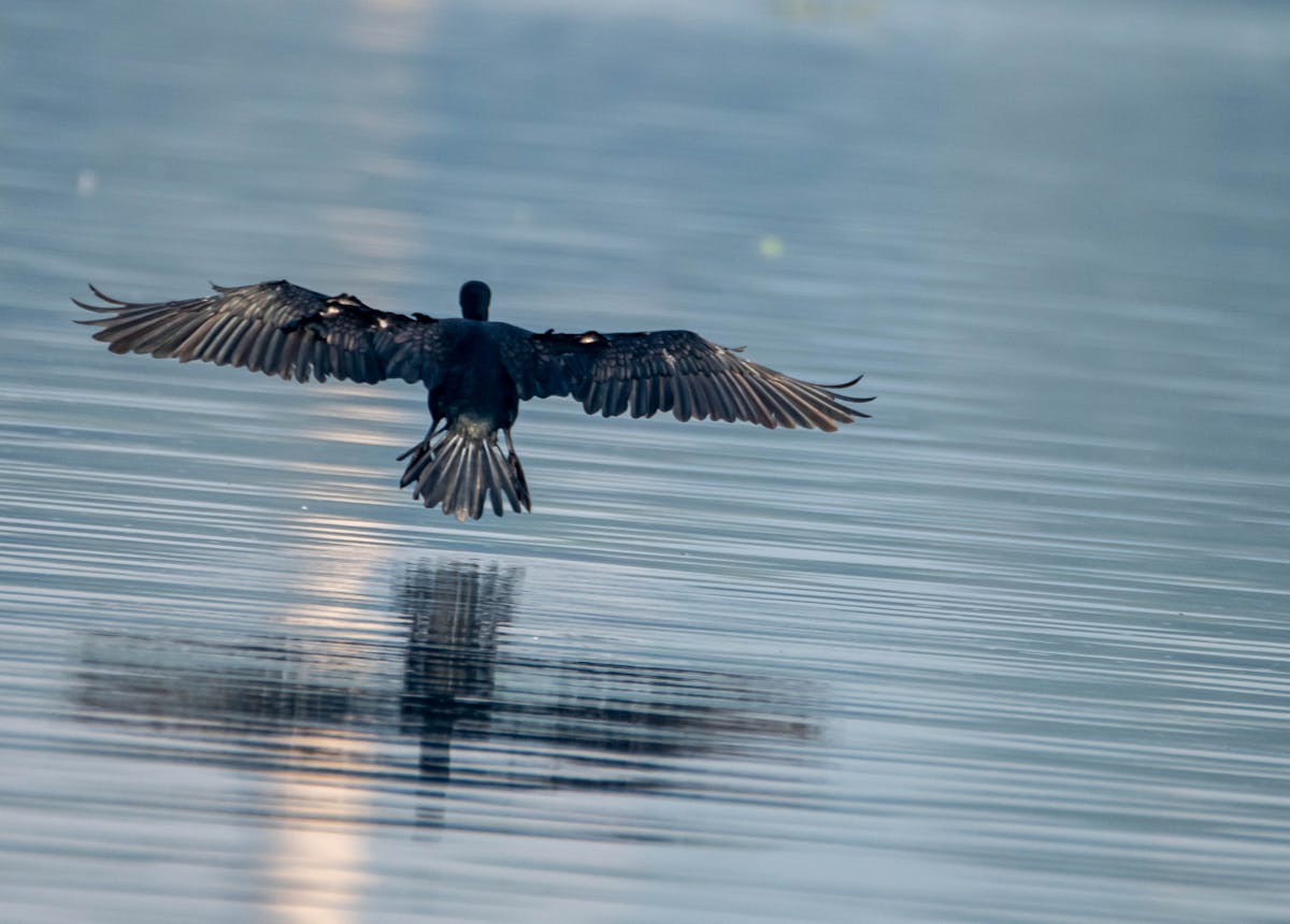 ¿Se Tenía Que Decir y Se Dijo? El Gmail te está Vigilando ...