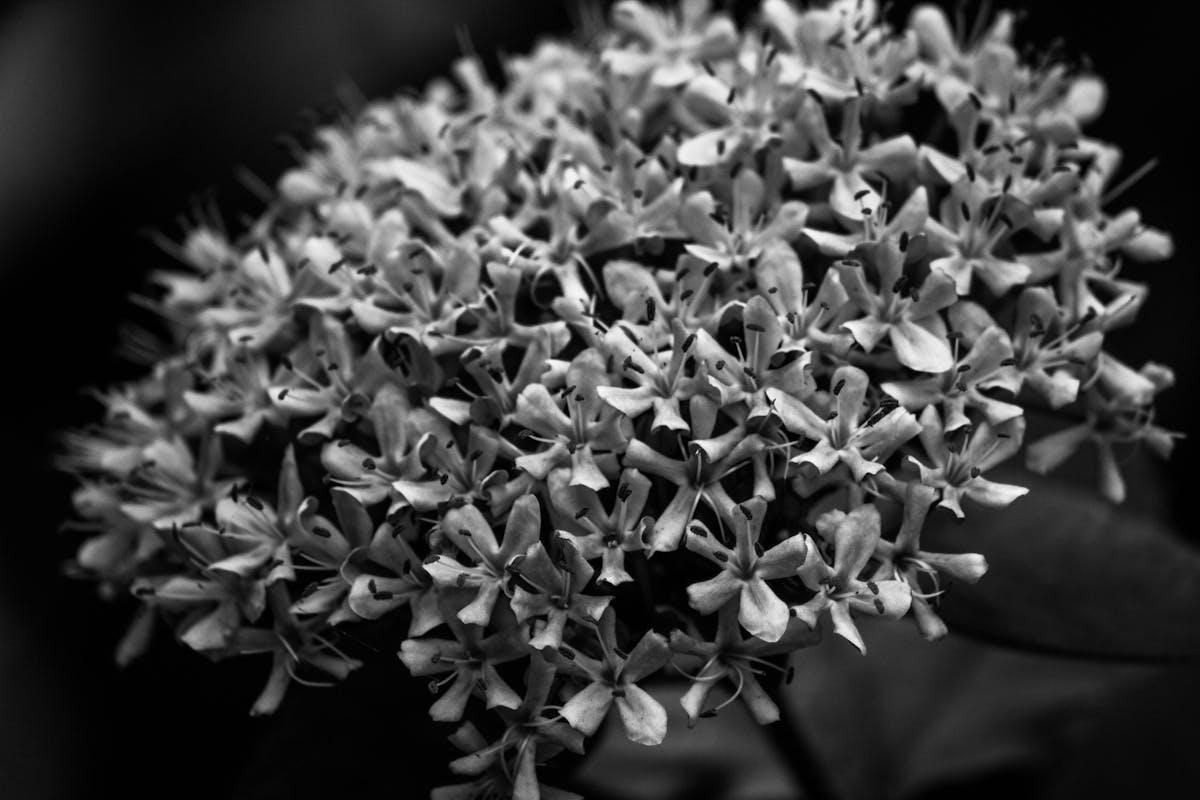 🚩 ¿Se Renombran las Autopistas con el Nombre de un Ex? 👀