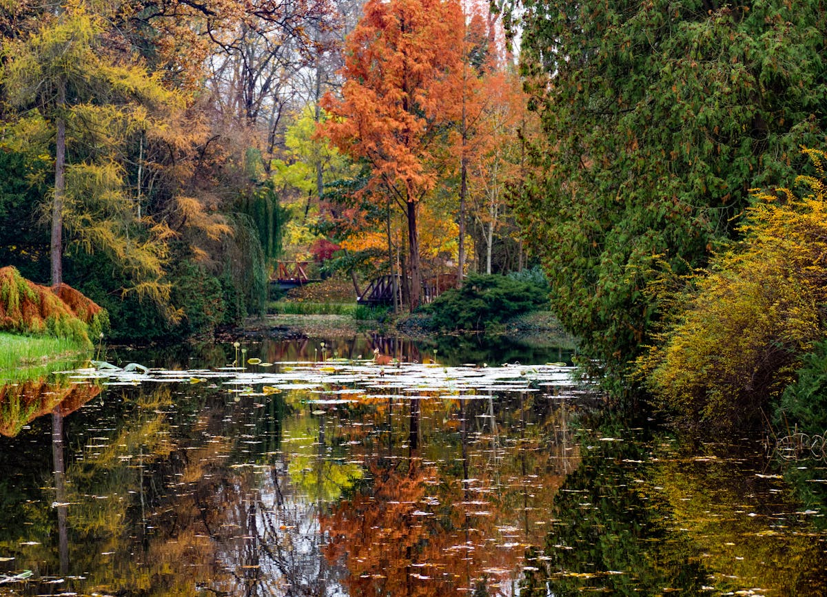 ¿Tu TikTok Tiene Ciberseguridad o Solo Finge? 🚩