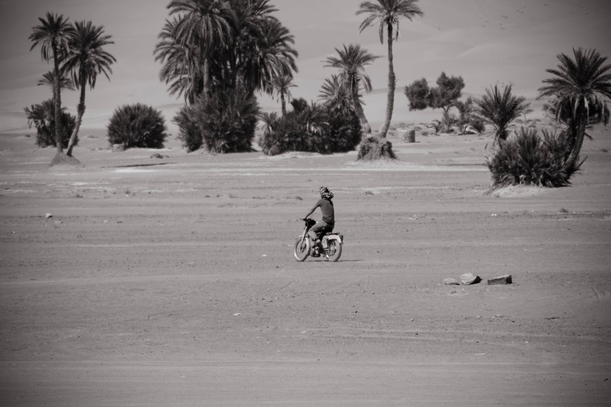¡No te pases! 🚩 ¿Cuántos de los seis fichajes del Real Mad...