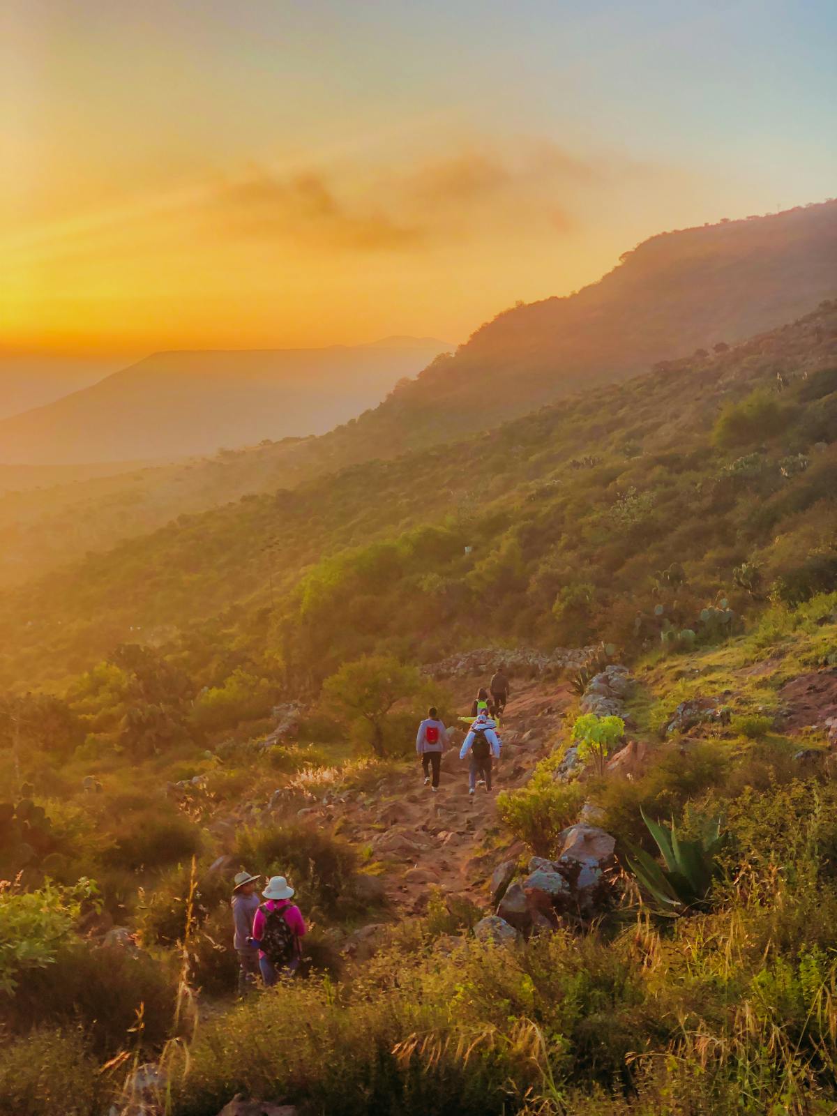 ¿La Terapia de Luz Roja en Casa Solo Cuesta Unas Papitas?<...