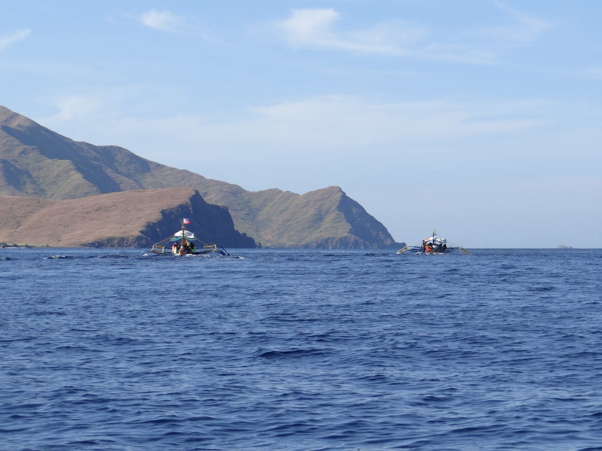 ¿Tu Equipo de Trabajo es Un Disastro o Solo Es La Cultura?...