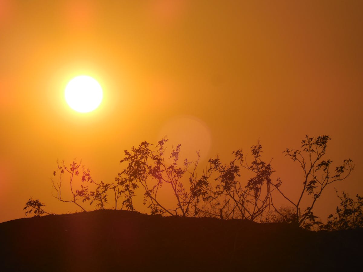 Esto es oro: ¿Bitcoin se vuelve vaporware?