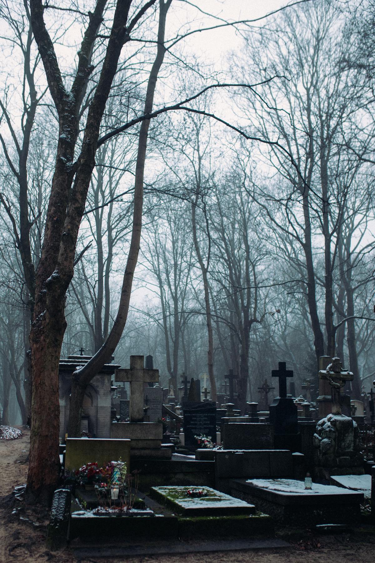 ¿Tecnología Segura o Solo una Ilusión? 🔒 (Nota: El título...