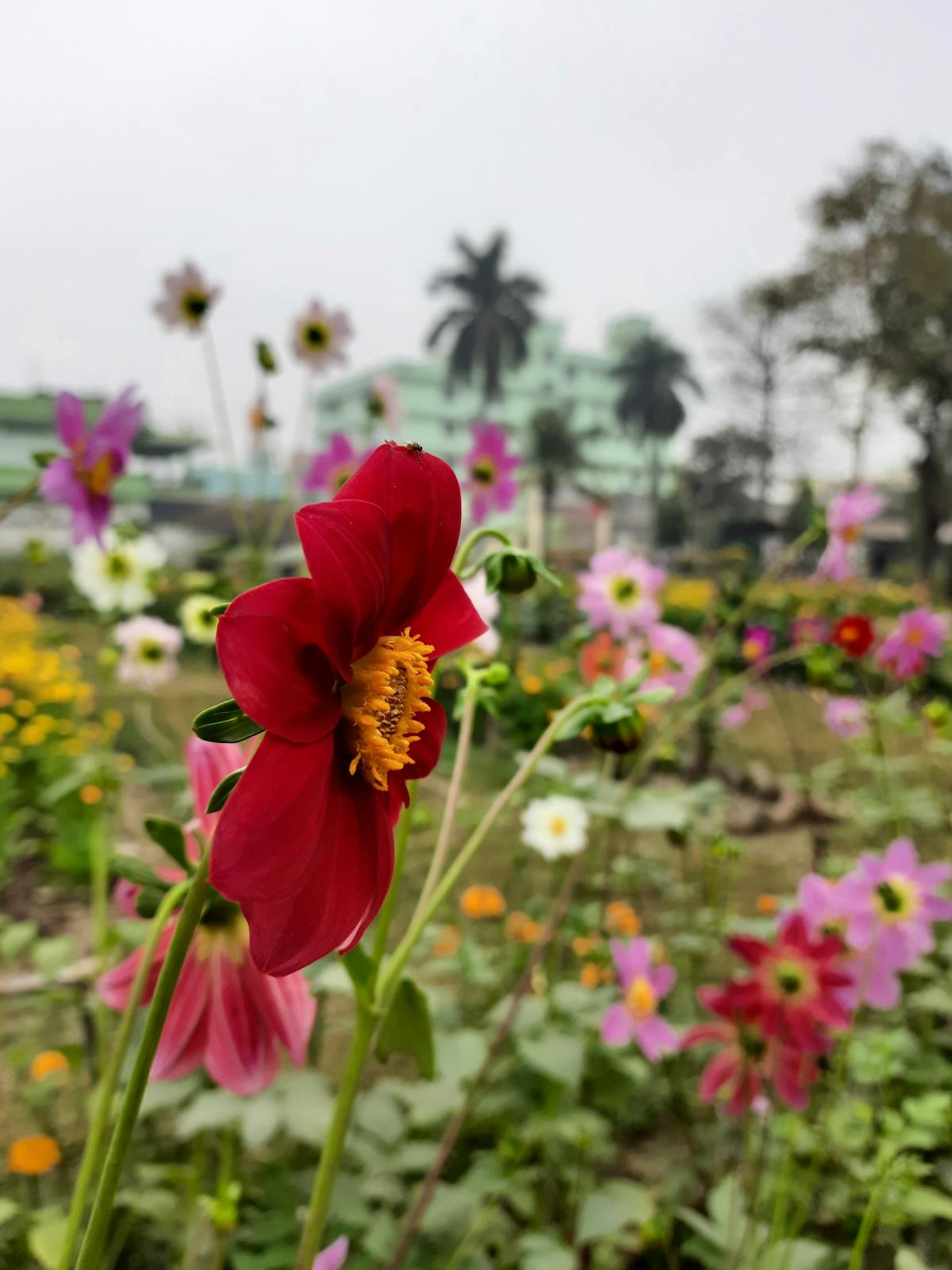 Hype o Humo: ¿Tu App Tiene Ciberseguridad o Solo Se Finge? 🚩