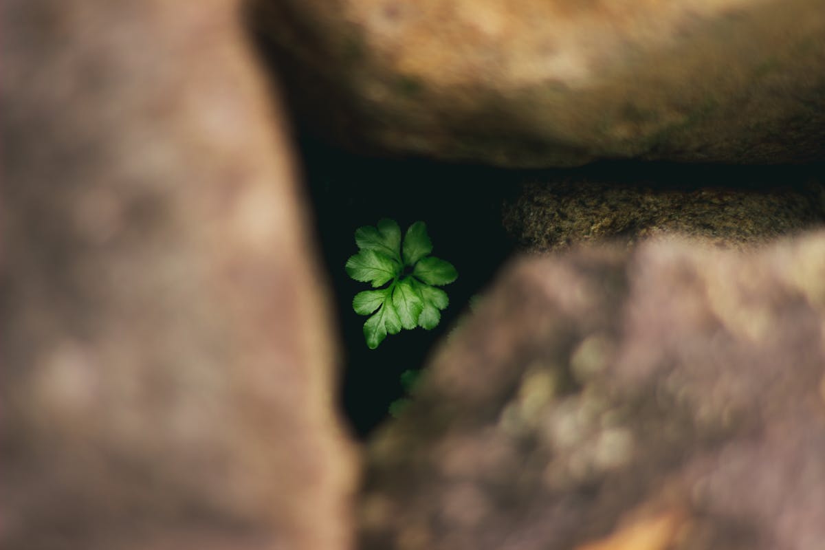 ¿Clara Brugada Conoce el Problema o Solo Vende Soluciones?...