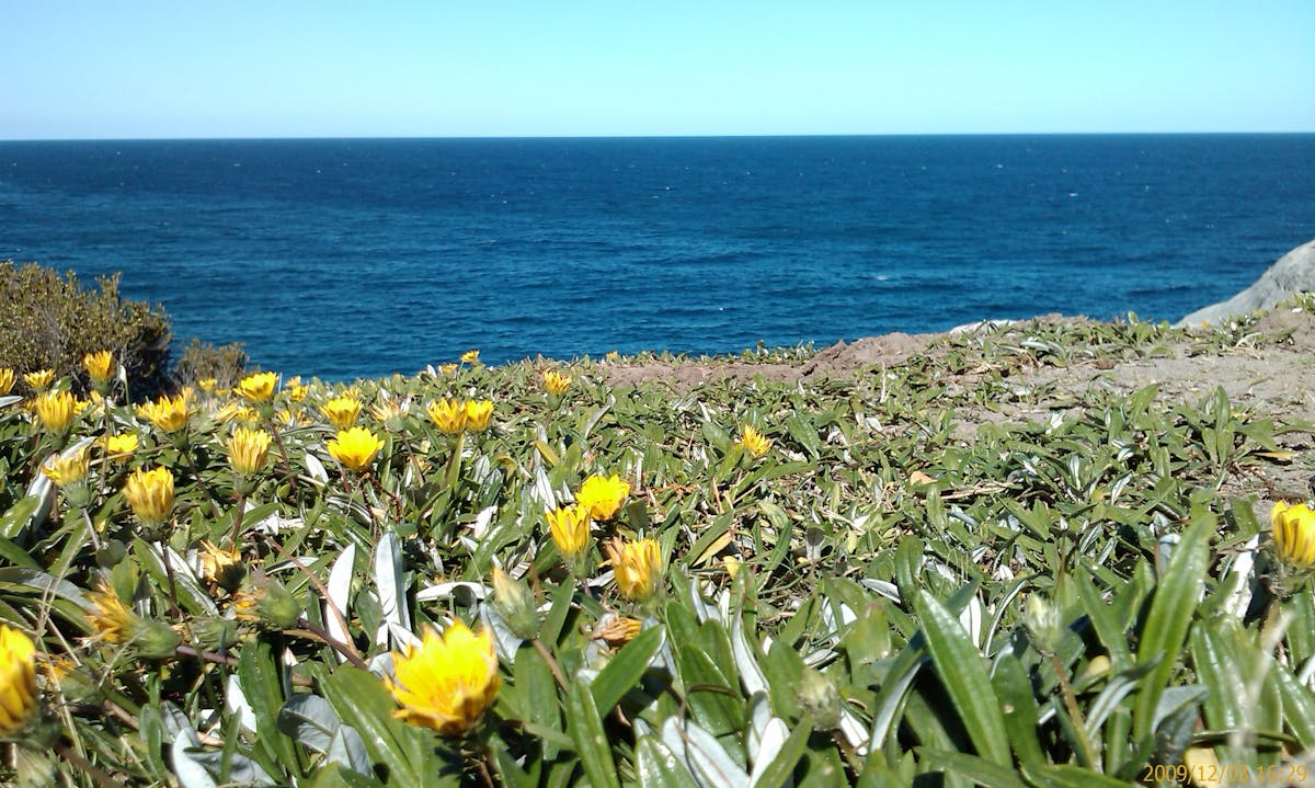 ¿Cuándo Se Desatolona el Receso? Spring Break 2026 Ya No E...