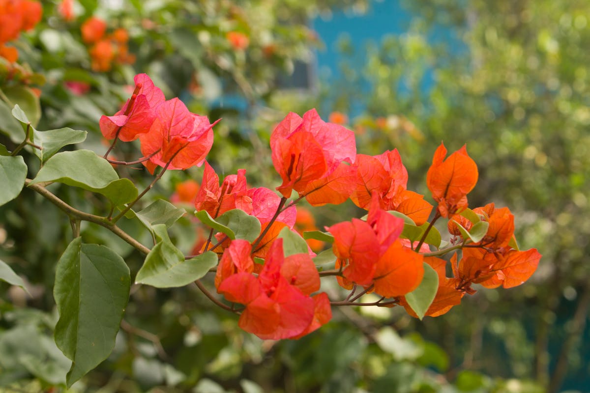 ¿Qué Ojo Aquí? Liz Vilchis Pide Transparencia a Sheinbaum ...