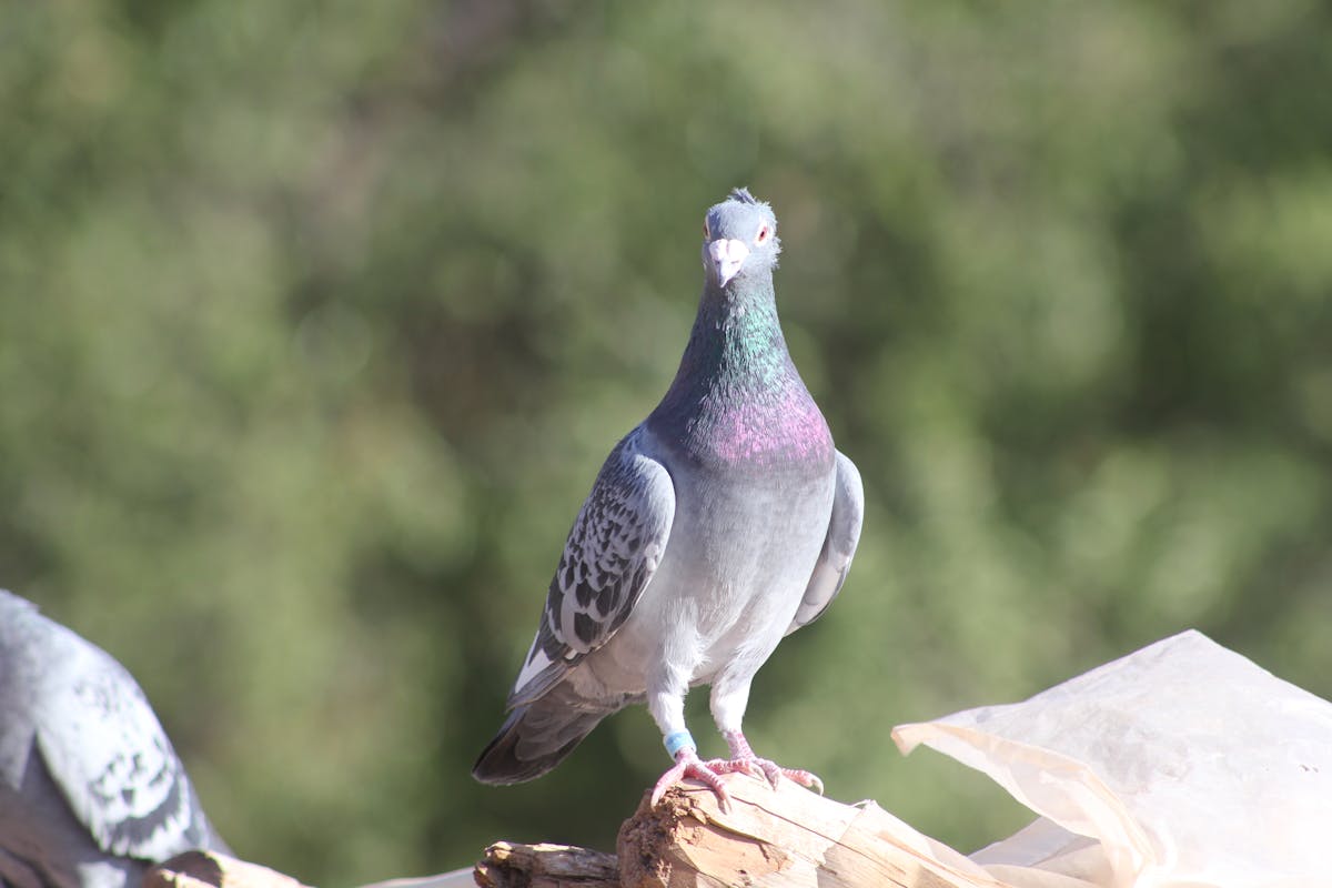 ¿Una Taquería Mexicana Puede Ser Demasiado Auténtica para ...