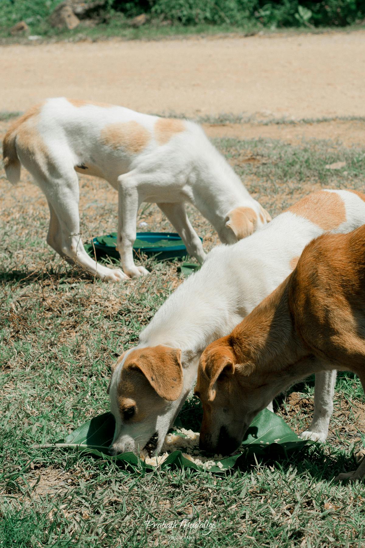 ¿Dormir 4 horas es igual a tener un virus de malware? 🤡