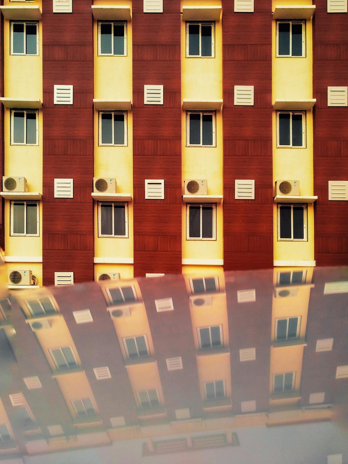 ¿La editorial Shogakukan se está comiendo la migaja del ma...