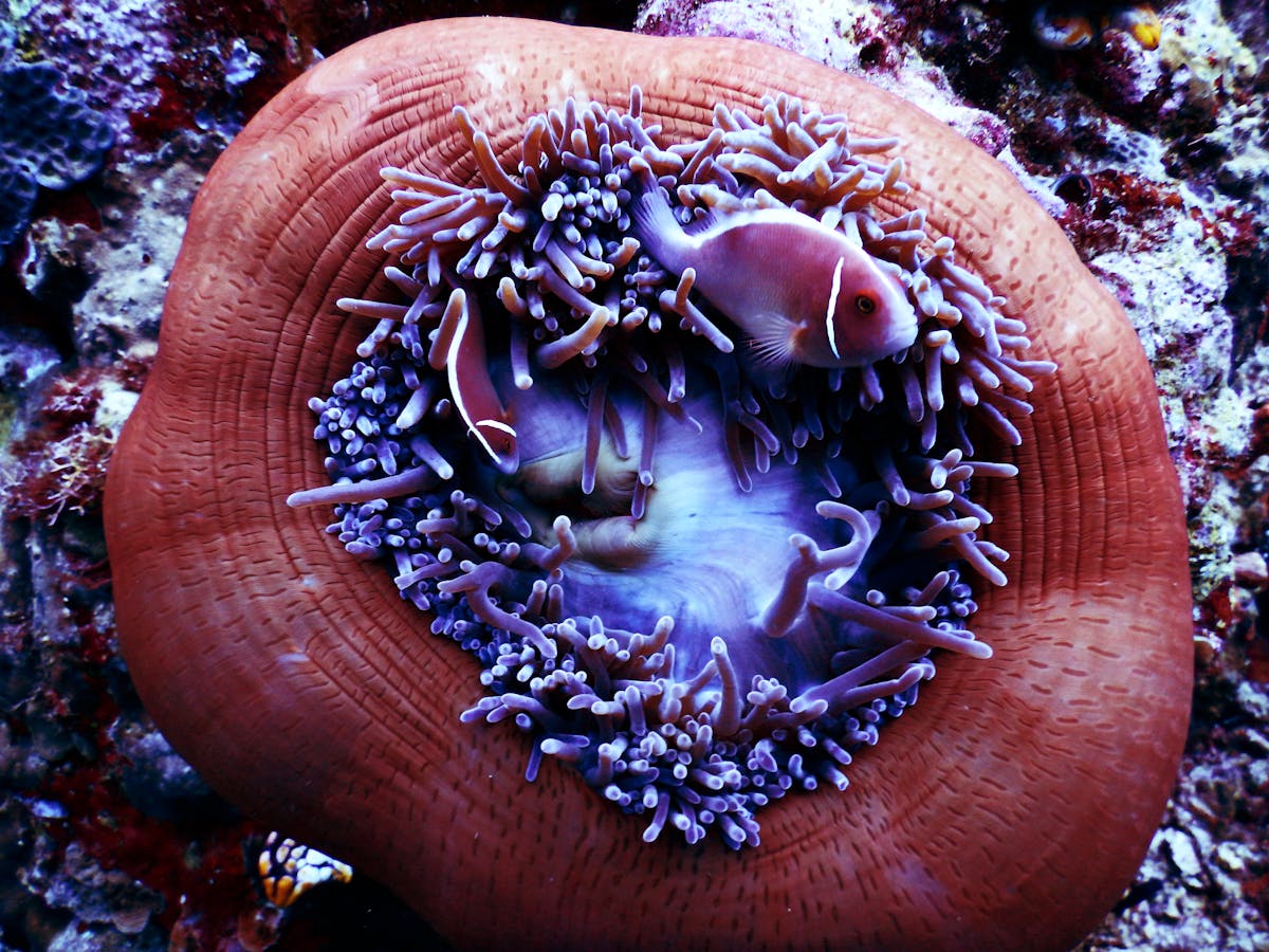 ¿Tu App de Comida Entrega Conoce Tus Hábitos de Compras?</...