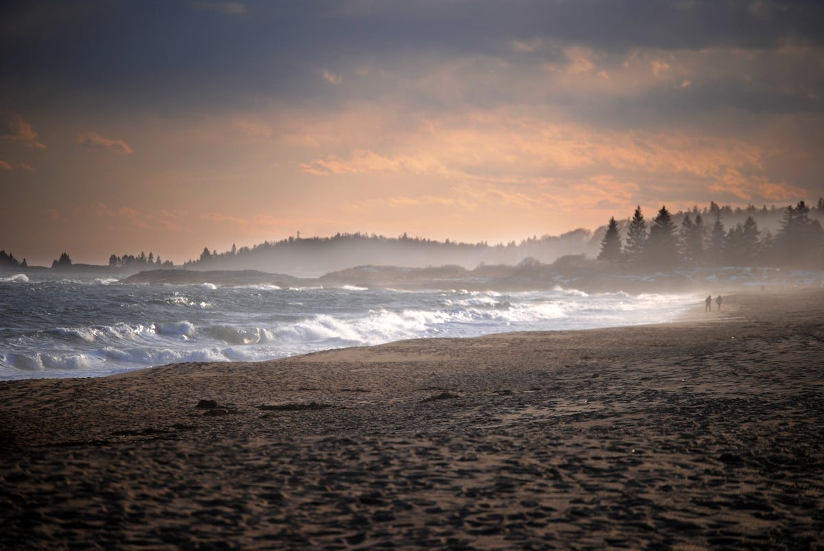 ¡Esto es oro! 🚨 ¿Quién ataca a los empleados de un supermerc...