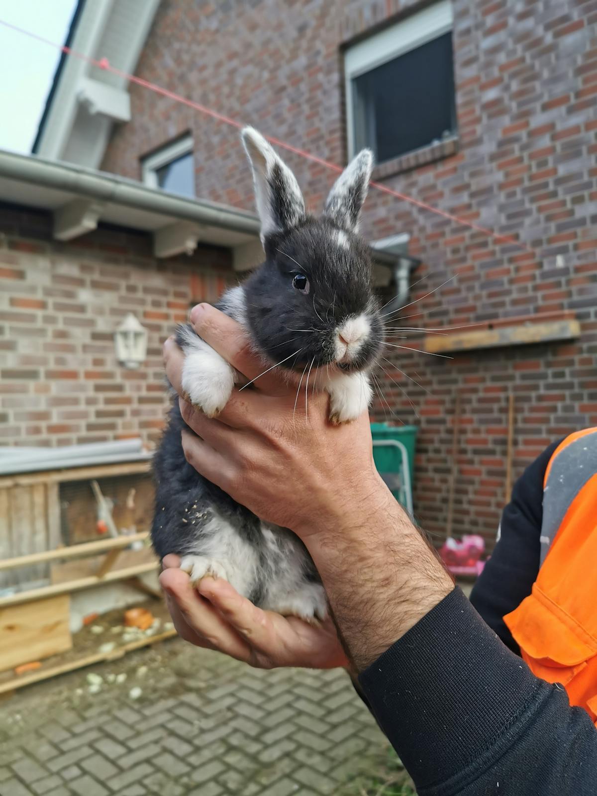 ¿Los Dietas de la AI te Harán Ganar Peso?