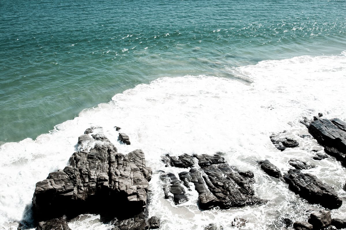 ¿La Exitosa Startup de Tus Sueños es Solo Vaporware o Es l...