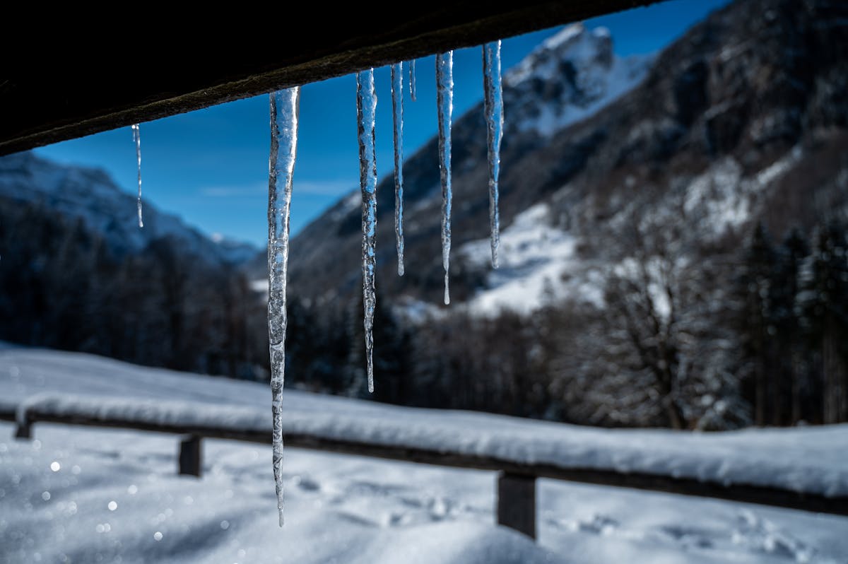 ¿Se Tienen que Decir y Se Dicen las Contraseñas de Tu Empr...