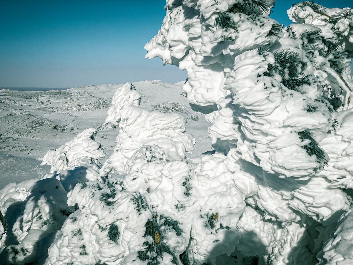 🎭 ¿Puedes Ganar el Oscar de la Ciberseguridad o Solo Fing...