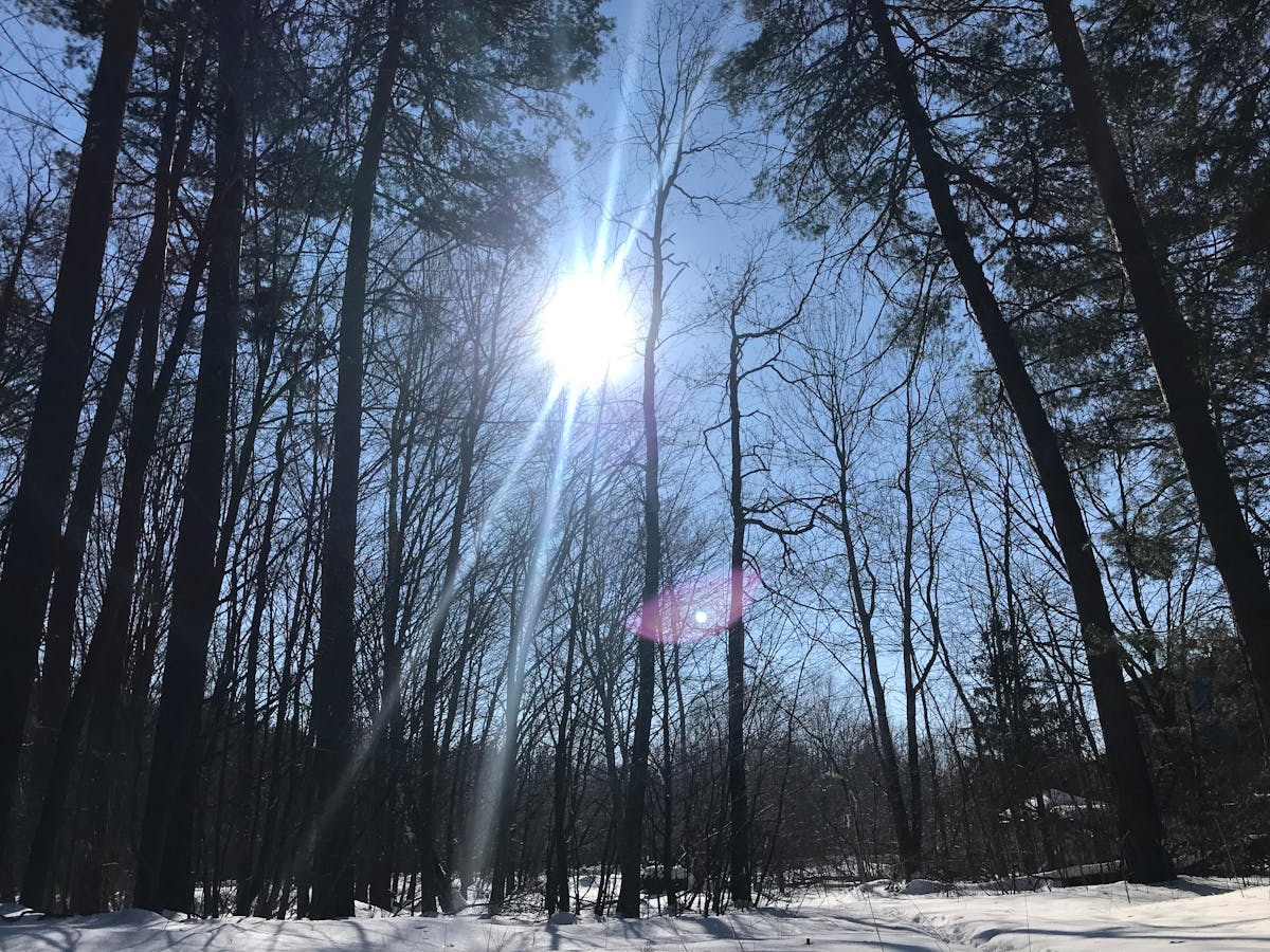 ¿Puedes Hacer Squat 400 Libras si Ni Tu Ex Conoce tus Debilida...