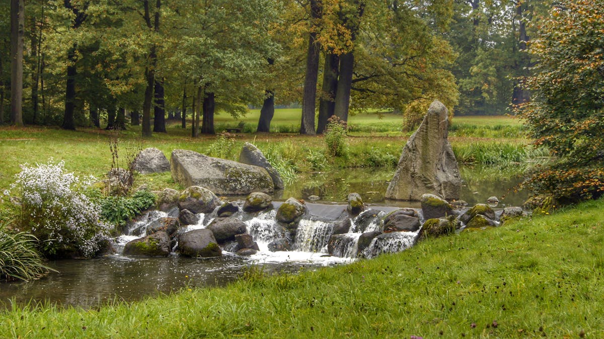 ¿Podrás Ver el Clásico Mundial sin Interrupciones de Inter...